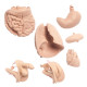 Set Ampliacion Maniqui Enfermeria Body basic a pro